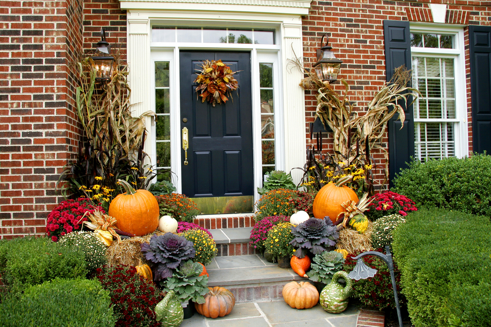 Local Events Spotlight: Fall Happenings in North County San Diego